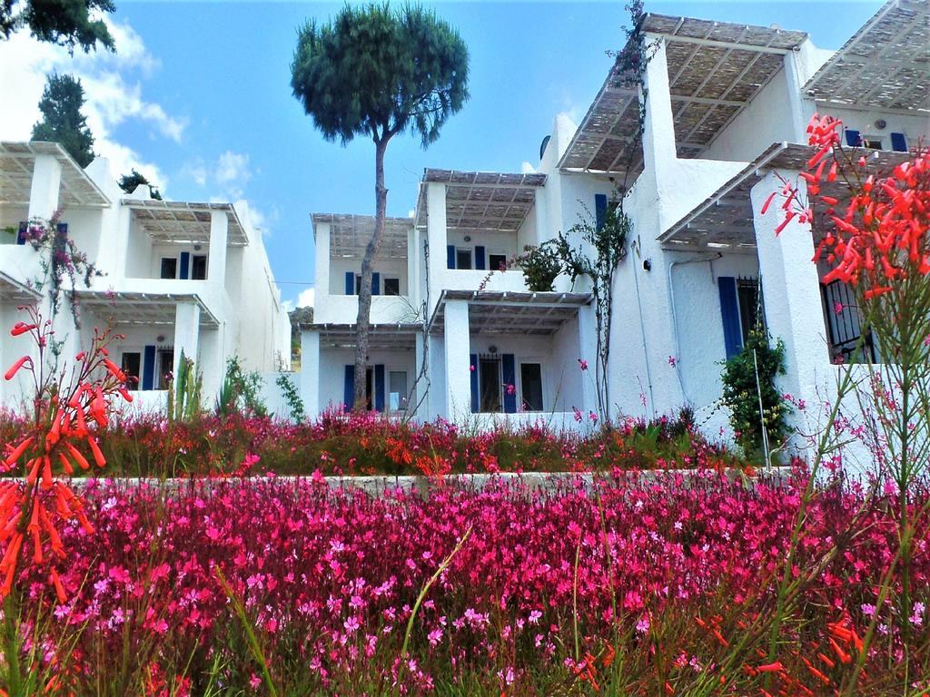 Vila Sunset Mavi Turgutreis Exteriér fotografie